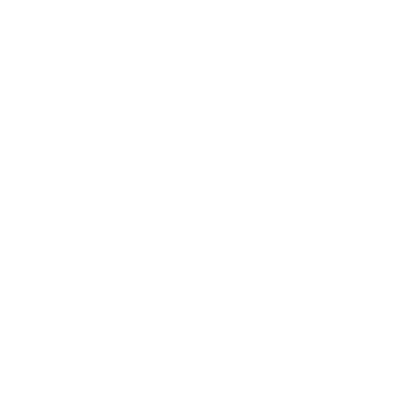 MuniLey